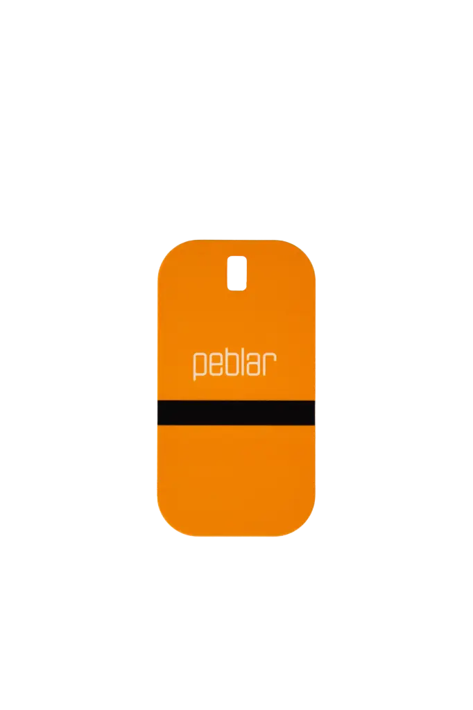 PEBLAR: RFID Badge