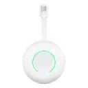 HOMEWIZARD: P1 WIFI DONGLE 